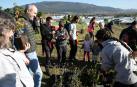 68 personas voluntarias, acompañadas por alumnado del ciclo de Educación y Calidad Ambiental del CI Agroforestal, técnicas municipales y alumnado de la escuela taller de Jardinería, plantarán ejemplares pequeños de arces, nogales, pinos, serbales, encinas y robles, además de arbustos