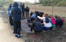 Un grupo de estudiantes durante la plantación hecha este viernes