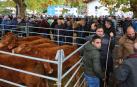 Imagen de la feria celebrada ayer en Santesteban