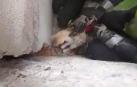 Bomberos de Tafalla rescatan a un gato después de pasar 4 días atrapado en una grieta