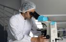 Imagen de archivo de un investigador