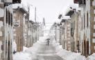 Nevada en Espinal, este jueves, 19 de enero.