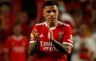 Enzo Fernández deja el Benfica y ficha por el Chelsea