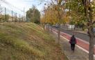 A: BLANCA ALDANONDO
F: 16/11/2022
P:  
L: TUDELA
T: TALUD DE LAS VIAS DEL TREN EL LA ENTRADA AL BARRIO DE LA AZUCARERA, PASEO DE LOS TILOS
