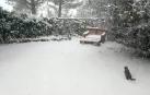 Una copiosa nevada cubre Estella de blanco