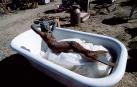 Escultura de una sirena encontrada en una tienda de antigüedades de Arizona (EE UU)