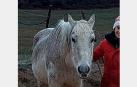 Capote, el caballo ciego y de 21 años buscado en Isuerre
