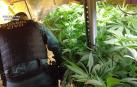 La Guardia Civil detiene a cuatro personas e interviene 45,3 kilos de marihuana y 1.378 plantas en Zizur