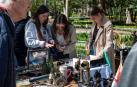 Jóvenes y mayores ‘curiosearon’ en los puestos repartidos a lo largo de la calle Bosquecillo