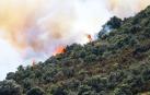 La proliferaración de bosques y matorrales aumenta el riesgo de incendios. Fuego cerca de Llançà (Girona) en julio de 2021.