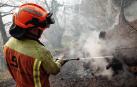 Un bombero trabaja en la extinción de un incendio forestal en Toraño, Parres (Asturias)