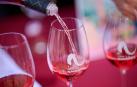 Vinos D.O. Navarra
