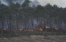 Llamas del incendio registrado este viernes en Luarca