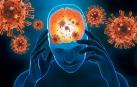 La inflamación del sistema nervioso central, conocida como neuroinflamación, se ha convertido en un blanco terapéutico importante para el tratamiento de las enfermedades neurodegenerativas