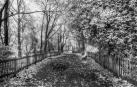 Holand Park, en Londres, fotografiado en 1979.