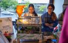 Dos alumnas del instituto Plaza de la Cruz explican su proyecto