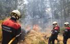Tres bomberos trabajan en la extinción de un incendio registrado en junio de 2022 en la zona de El Perdón