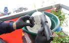 El arma intervenida en la terraza por los agentes