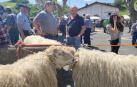 Dos hombres conversan en l Feria de Primavera de Santesteban durante el certamen comarcal de carneros.