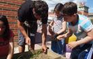 Alumnos atienden a las explicaciones de uno de los profesores en una huerta urbana