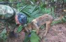 Un militar y un perro del operativo de búsqueda que encontró a los cuatros niños que sobrevivieron 17 días en plena selva tras un accidente de una avioneta Cessna 206