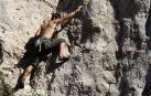 Un escalador, trepando por una vía de roca