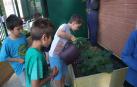 La actividad se refuerza con un encuentro que cada año organiza el Museo de Educación Ambiental