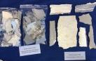 Detenido por sustraer ocho kilos y medio de plata pura