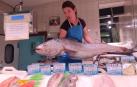 Espe Arizkuren, de pescadería La Kontxa, con la corvina de 20 kilos