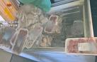 Carne intervenida por la Guardia Civil en un almacén de Pamplona