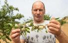 El agricultor Richard Sada Antón, en su campo de almendros dañados por el granizo, en le término del Barranco del Tollo