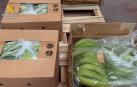 Se han incautado más de 6,5 toneladas de cocaína tras el registro de varios domicilios en Algeciras, Málaga y Castellar de la Frontera (Cádiz)