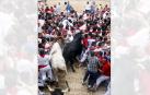 ‘Incapaz’, el primer toro de Fuente Ymbro en acceder a la plaza, se empotró contra la muralla humana levantada en acceso al coso