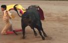 El toro no se ha creído el engaño del diestro francés