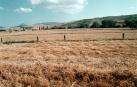 Los terrenos de Sarriguren donde se construirían viviendas