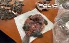 Ejemplar de tortuga sacrificada para cocinarla en el restaurante de Usera intervenido