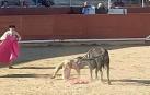 Susto en la novilla sin picadores de las fiestas de Estella: Voltereta al novillero pamplonés Pablo Hernández