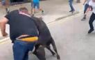 Maltrato a una vaquilla en el encierro de Estella