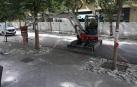 Fotos del comienzo de las obras del parking de la calle Sangüesa de Pamplona con la retirada de los árboles