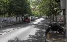 Fotos del comienzo de las obras del parking de la calle Sangüesa de Pamplona con la retirada de los árboles