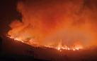 Incendio forestal declarado en los montes de Arafo