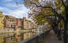 Paseo con árboles en Girona