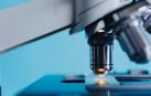 El método utilizado por el equipo de investigadores de je utilizaron un método no convencional