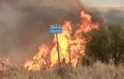 Fotos del incendio forestal en Valdizarbe. /