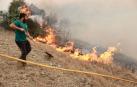 Fotos del incendio forestal en Valdizarbe. /