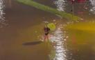 Rotonda de las Oblatas y calle Ochagavía, anegadas por el agua