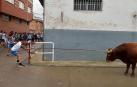 Fotos del toro ensogado en fiestas de Lodosa 2023.