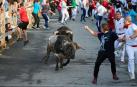 Los dos toros de la ganadería Sobral que se adelantaron a la manada