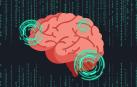 Nuestro cerebro es más vulnerable de lo que pensamos, especialmente por el consumo de drogas