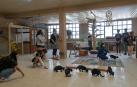 La instalación de Egapeludos para gatos, en una visita del instituto Navarro Villosada el pasado junio